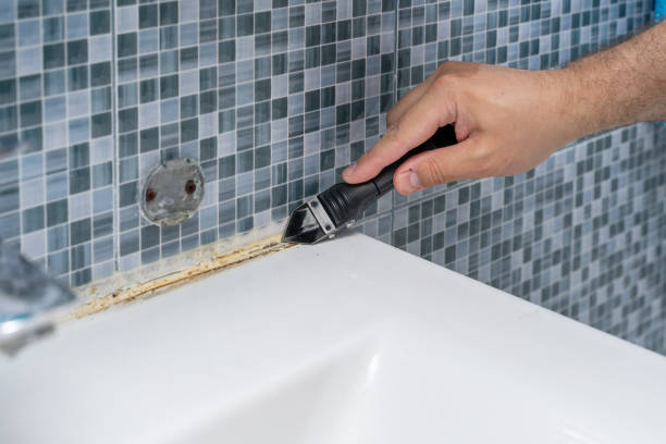 Best Office Mold Removal Services  in Vidor, TX