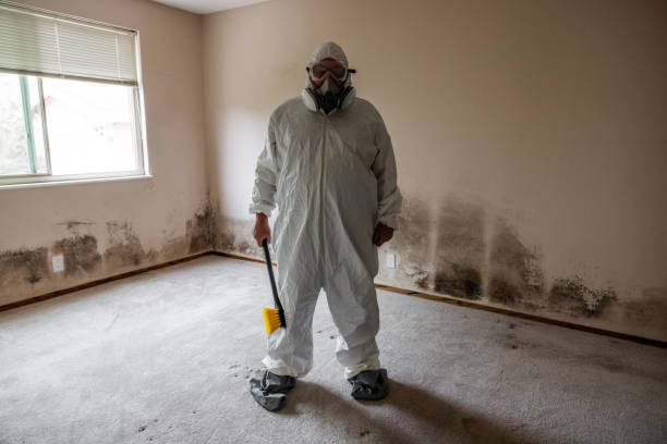 Certified Mold Removal in Vidor, TX